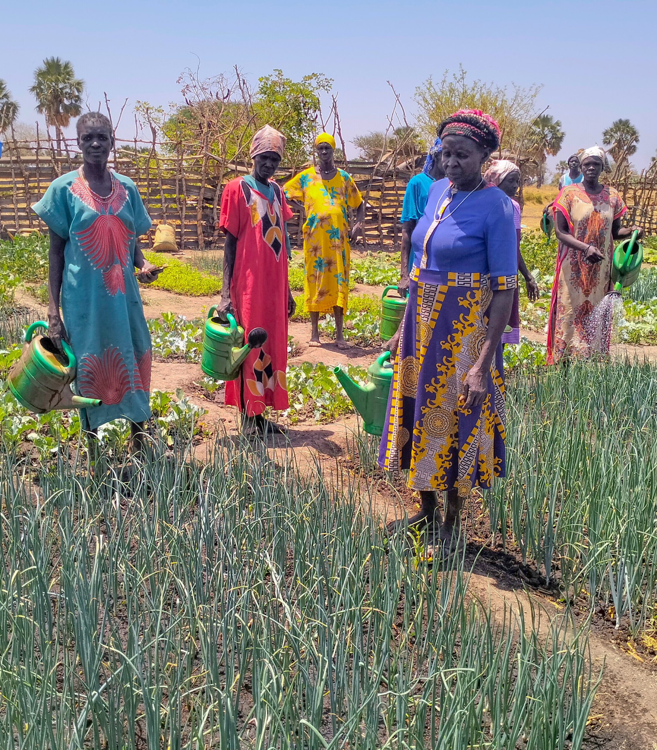 Food Security & Livelihoods